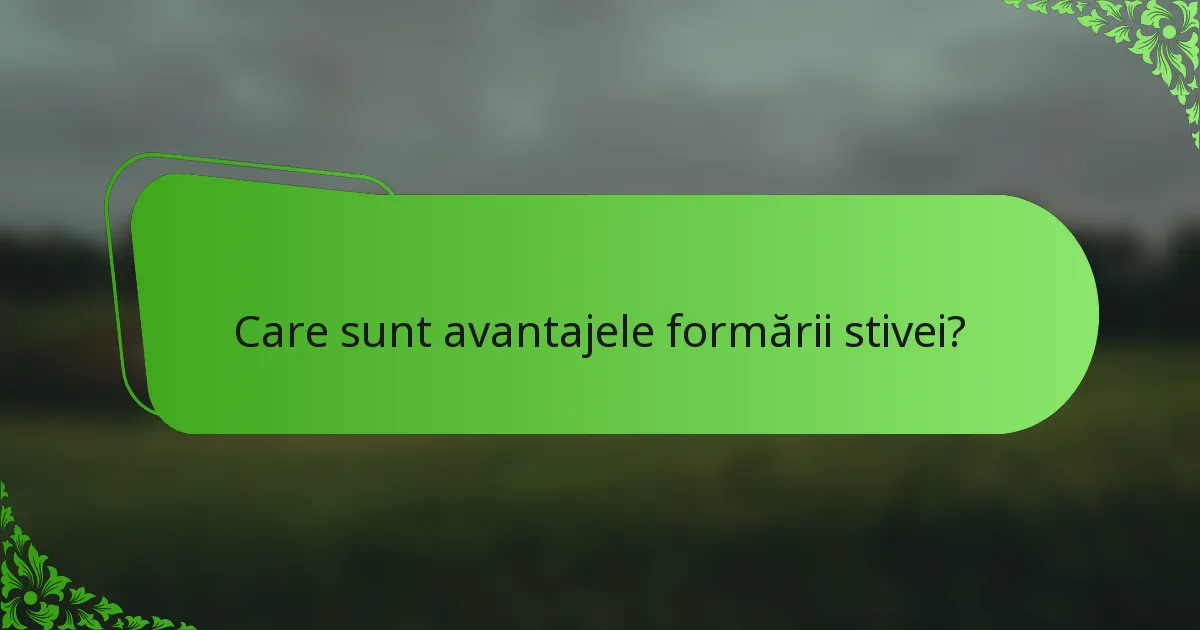 Care sunt avantajele formării stivei?