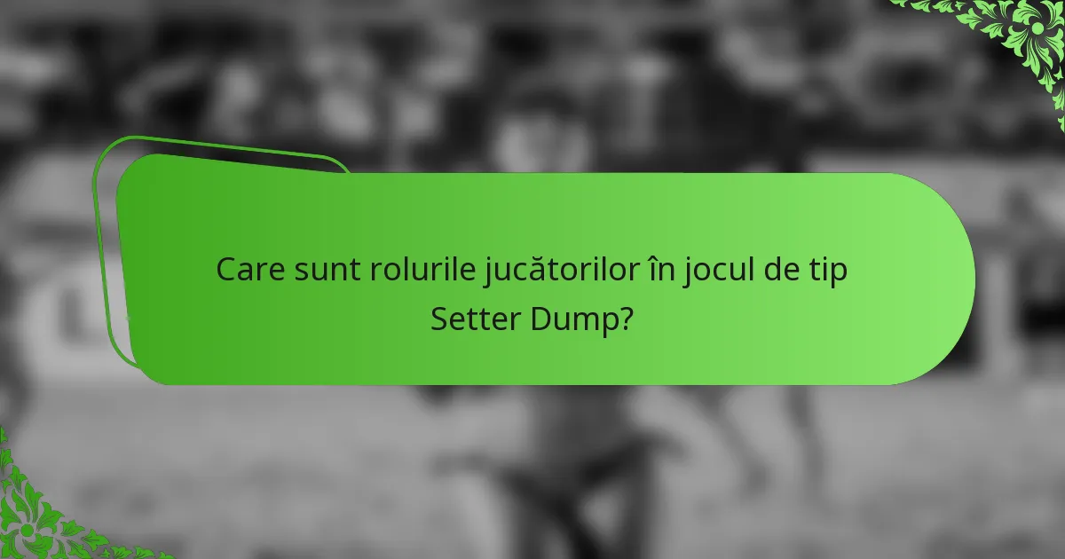 Care sunt rolurile jucătorilor în jocul de tip Setter Dump?